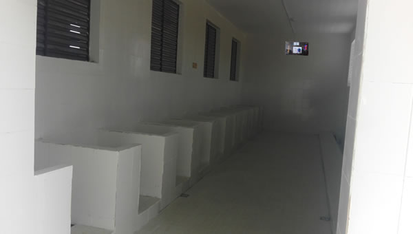 �����l(w��i)���g����