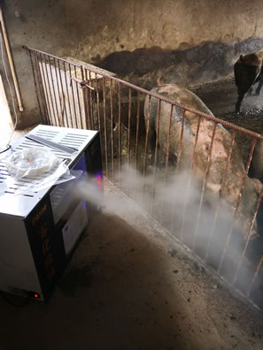 �B(y��ng)�i��(ch��ng)ֲ��Һ���F������