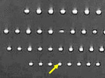 �ĽǼӉ���ĥ�C(j��)�A��